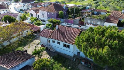 Venda de Quinta com Casa T4, Adega, Lagar e Terreno com Árvores de Fruto em Casével - Santarém
