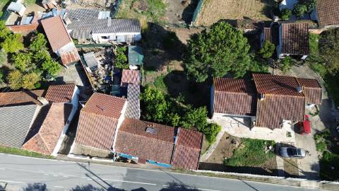 Venda de Quinta com Casa T4, Adega, Lagar e Terreno com Árvores de Fruto em Casével - Santarém
