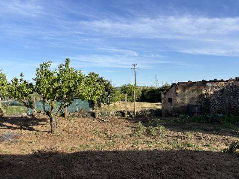 Venda de Quinta com Casa T4, Adega, Lagar e Terreno com Árvores de Fruto em Casével - Santarém
