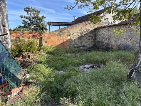 Venda de Quinta com Casa T4, Adega, Lagar e Terreno com Árvores de Fruto em Casével - Santarém
