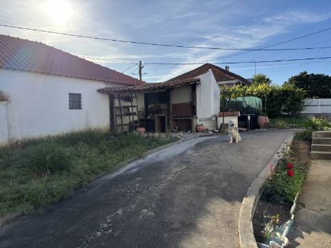 Venda de Quinta com Casa T4, Adega, Lagar e Terreno com Árvores de Fruto em Casével - Santarém

