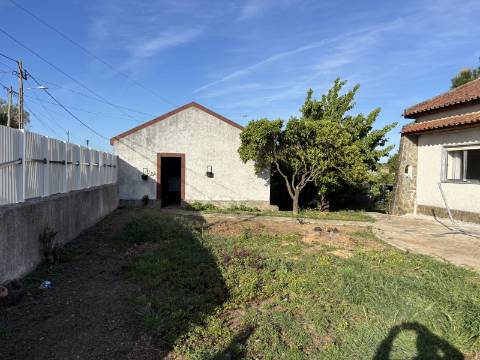 Venda de Quinta com Casa T4, Adega, Lagar e Terreno com Árvores de Fruto em Casével - Santarém
