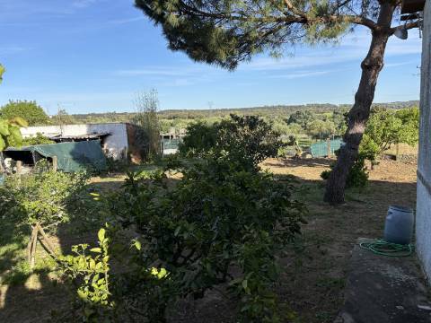 Venda de Quinta com Casa T4, Adega, Lagar e Terreno com Árvores de Fruto em Casével - Santarém
