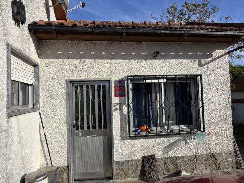 Venda de Quinta com Casa T4, Adega, Lagar e Terreno com Árvores de Fruto em Casével - Santarém
