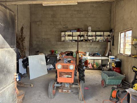 Venda de Quinta com Casa T4, Adega, Lagar e Terreno com Árvores de Fruto em Casével - Santarém
