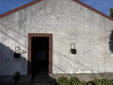 Venda de Quinta com Casa T4, Adega, Lagar e Terreno com Árvores de Fruto em Casével - Santarém

