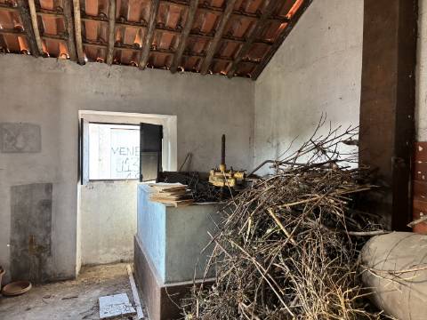 Venda de Quinta com Casa T4, Adega, Lagar e Terreno com Árvores de Fruto em Casével - Santarém
