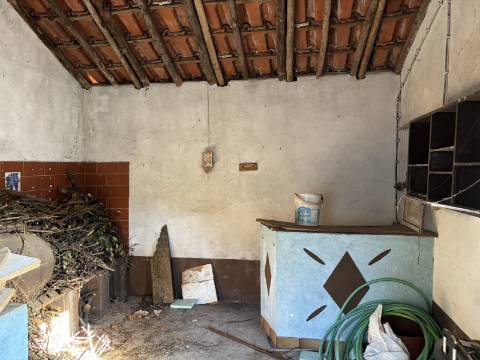 Venda de Quinta com Casa T4, Adega, Lagar e Terreno com Árvores de Fruto em Casével - Santarém

