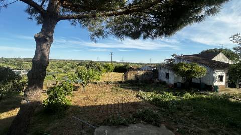 Venda de Quinta com Casa T4, Adega, Lagar e Terreno com Árvores de Fruto em Casével - Santarém
