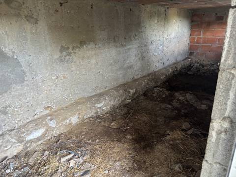 Venda de Quinta com Casa T4, Adega, Lagar e Terreno com Árvores de Fruto em Casével - Santarém
