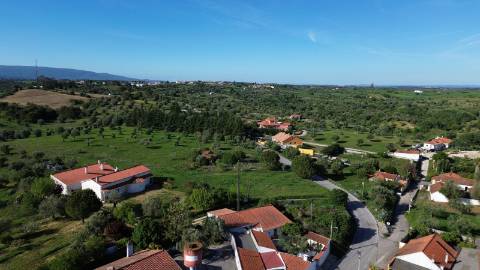 Venda de Quinta com Casa T4, Adega, Lagar e Terreno com Árvores de Fruto em Casével - Santarém
