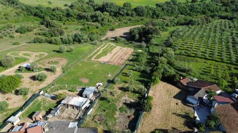 Venda de Quinta com Casa T4, Adega, Lagar e Terreno com Árvores de Fruto em Casével - Santarém
