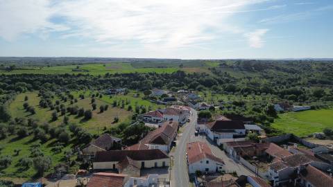 Venda de Quinta com Casa T4, Adega, Lagar e Terreno com Árvores de Fruto em Casével - Santarém
