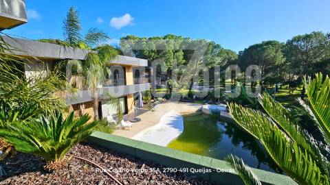 Moradia T4 de Luxo com Piscina | Santo Estêvão - Benavente