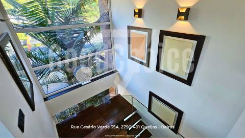 Moradia T4 de Luxo com Piscina | Santo Estêvão - Benavente