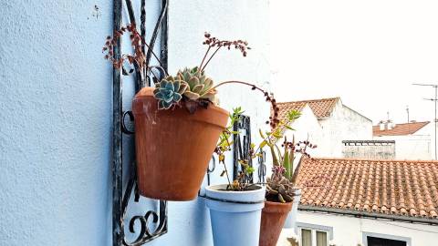 Moradia Senhorial Geminada no Centro de Sousel