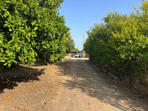 Quinta para venda - Forninho, Setúbal