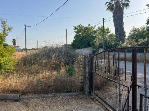 Quinta para venda - Forninho, Setúbal