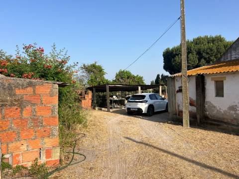 Quinta para venda - Forninho, Setúbal
