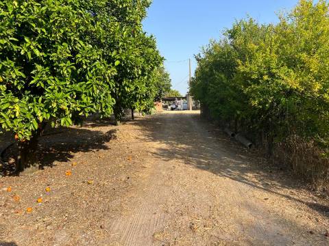 Quinta para venda - Forninho, Setúbal