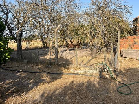 Quinta para venda - Forninho, Setúbal