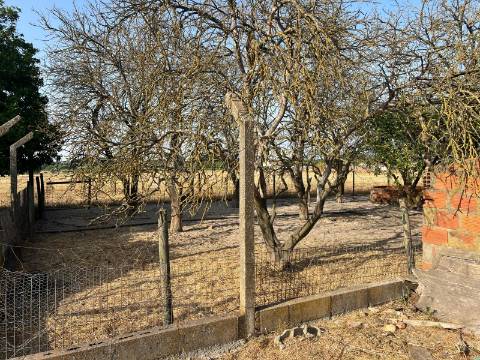 Quinta para venda - Forninho, Setúbal