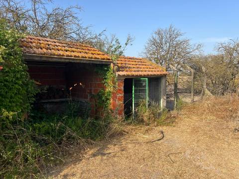 Quinta para venda - Forninho, Setúbal