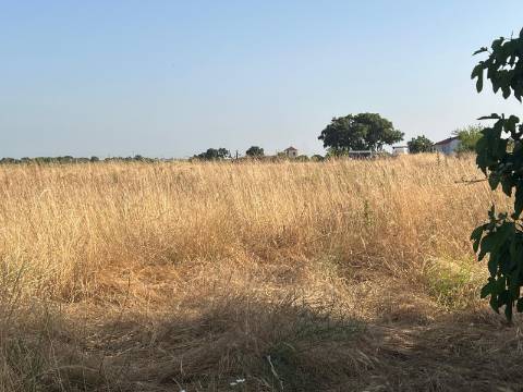 Quinta para venda - Forninho, Setúbal