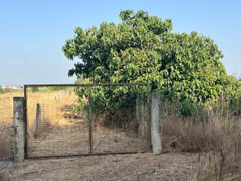 Quinta para venda - Forninho, Setúbal