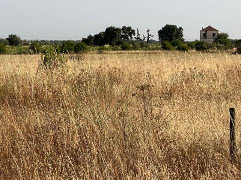 Quinta para venda - Forninho, Setúbal