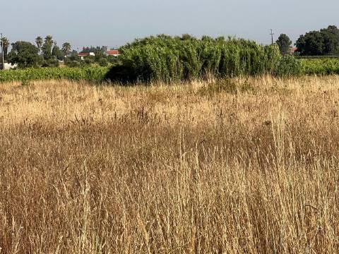 Quinta para venda - Forninho, Setúbal