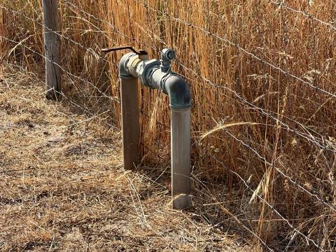 Quinta para venda - Forninho, Setúbal