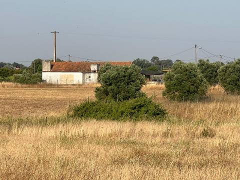 Quinta para venda - Forninho, Setúbal
