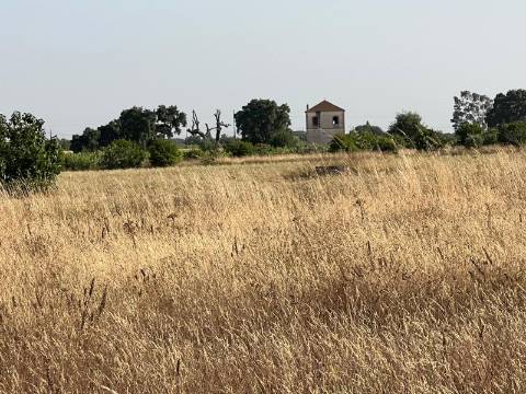 Quinta para venda - Forninho, Setúbal
