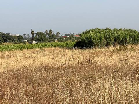 Quinta para venda - Forninho, Setúbal