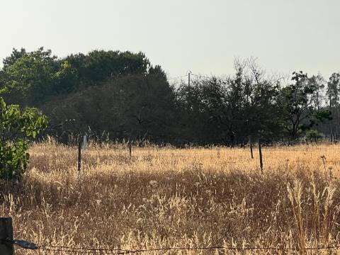 Quinta para venda - Forninho, Setúbal