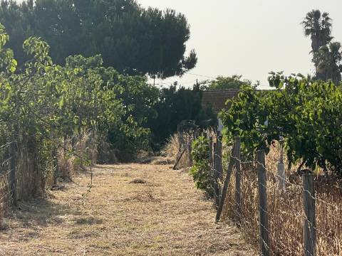 Quinta para venda - Forninho, Setúbal