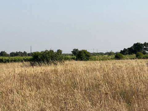 Quinta para venda - Forninho, Setúbal