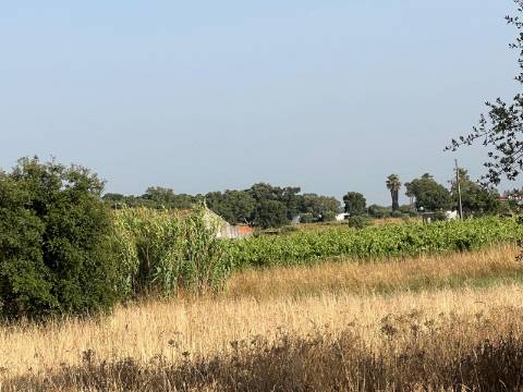 Quinta para venda - Forninho, Setúbal