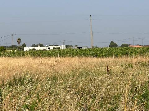 Quinta para venda - Forninho, Setúbal