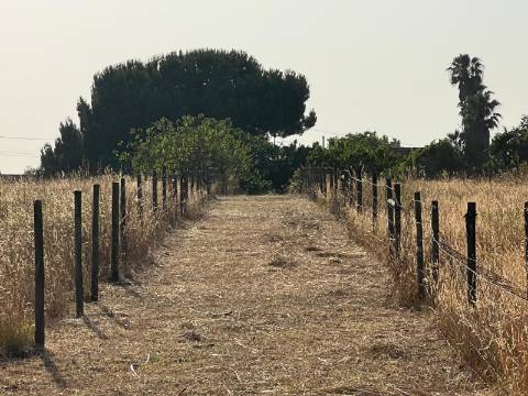 Quinta para venda - Forninho, Setúbal