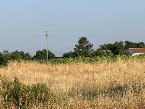Quinta para venda - Forninho, Setúbal