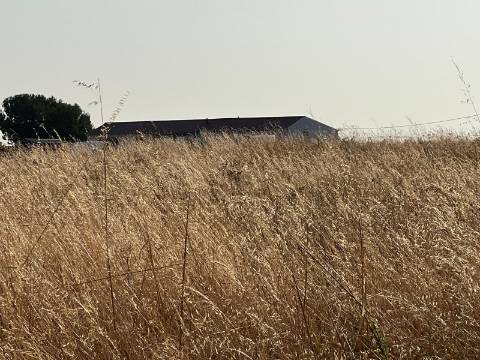 Quinta para venda - Forninho, Setúbal