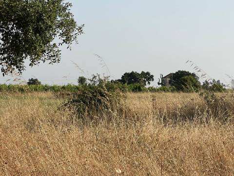 Quinta para venda - Forninho, Setúbal