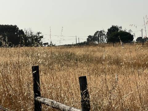 Quinta para venda - Forninho, Setúbal