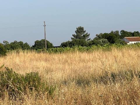 Quinta para venda - Forninho, Setúbal