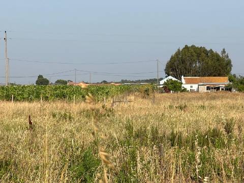 Quinta para venda - Forninho, Setúbal