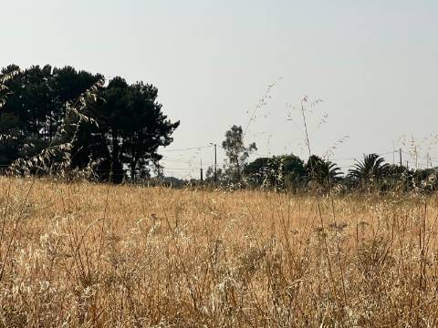 Quinta para venda - Forninho, Setúbal