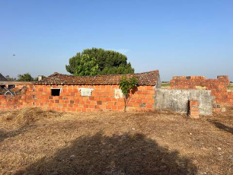 Quinta para venda - Forninho, Setúbal