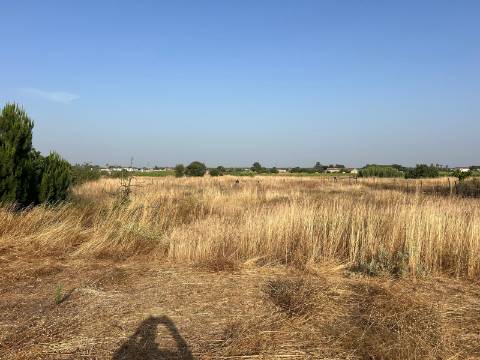 Quinta para venda - Forninho, Setúbal